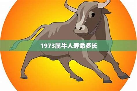 1973年属牛的命运|1973年属什么生肖 73年属什么命运如何